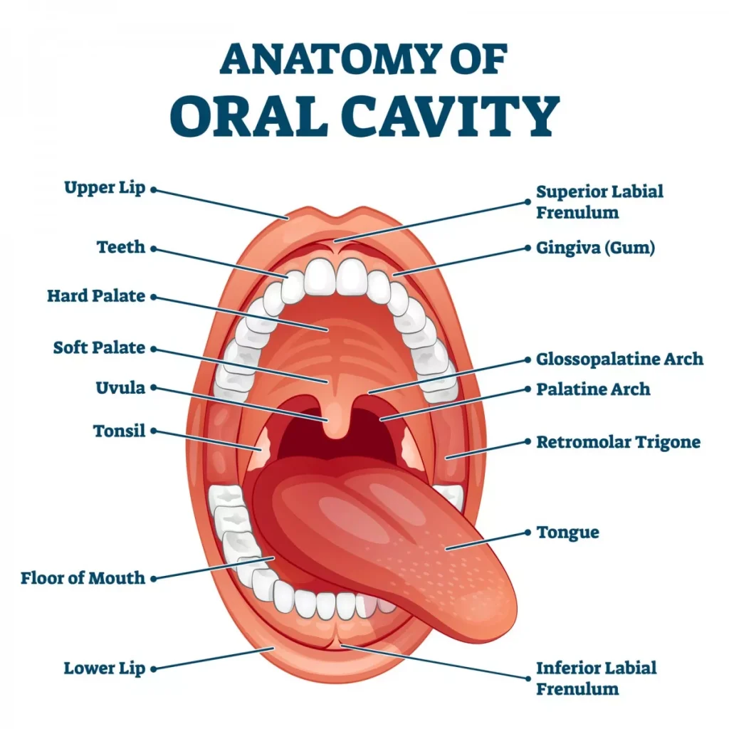 Frenectomie Brăila2
