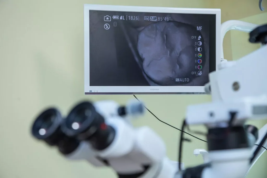 Adevarat Sau Fals Poti Gasi Toate Serviciile Stomatologice Intr Un Singur Loc2 6926fd63d7536